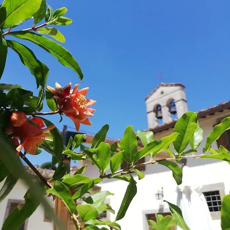 Daire Borgo Sant'andrea Al Pozzo *